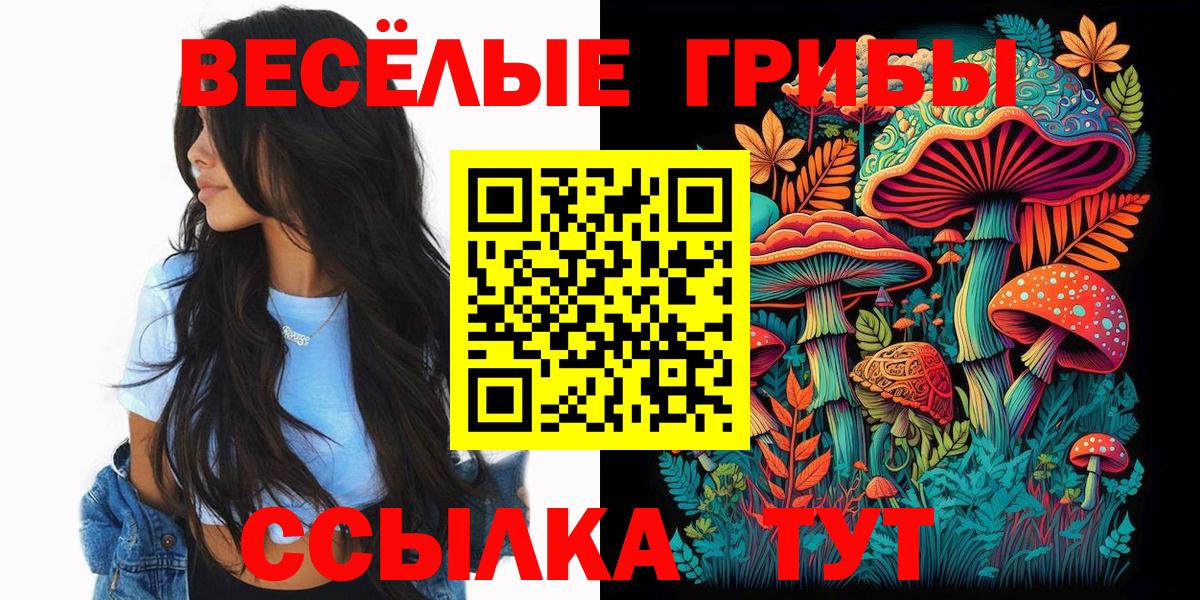 Йошкар-Ола  Галлюциногенные грибы Psilocybine cubensis  Вход с VPN 